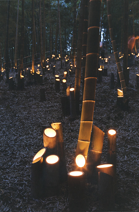 Otokuni Bamboo Play