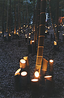 Otokuni Bamboo Play